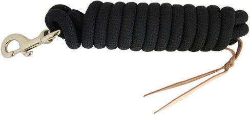 Cowboy Nylon Horse Lead Rope with Leather Popper 10' x 5/8" Turquoise in Saudi Arabia