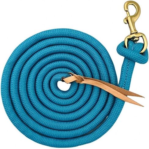Cowboy Nylon Horse Lead Rope with Leather Popper 10' x 5/8" Turquoise in Saudi Arabia