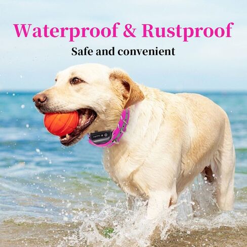 Trainpro 27 ½ "x ¾" شريط حزام من طوق الكلاب البديل مع حلقة مشبك مزدوجة لجميع العلامات التجارية لحاء التدريب على الحيوانات الأليفة ، والصدمة ، والمسلحة الإلكترونية والأسوار. مجموعة واسعة من الألوان القياسية الجريئة والخيارات العاكسة. in Saudi Arabia