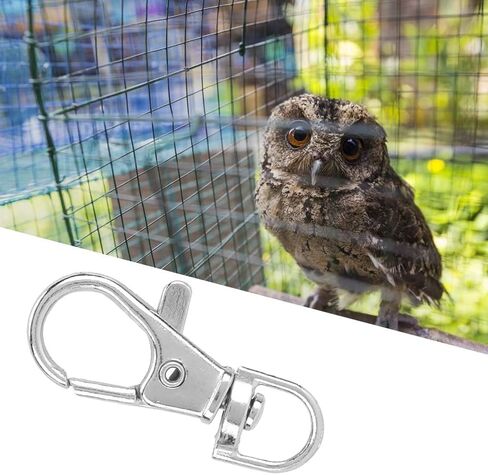 acouto 12 pcs حزمة الحديد المضاد للهروب من الطائر الأليف قفص القفص قفل القفل مخلب المفاجئ خطاف الطيور قفص القفص قفلات قفل الهامستر أقفاص للبطغامين الكلاب الكلب صناديق الأبواب الأبواب in Saudi Arabia