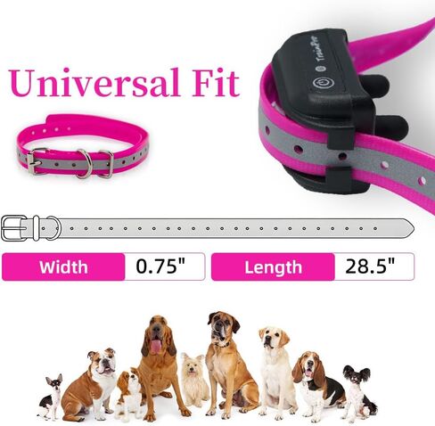TrainPro 27 ½" X ¾" Replacement Dog Collar Strap Band w/ Double Buckle Loop - All Brands Pet Training Bark, Shock, e-Collars and Fences. Wide Variety of Bold Standard Colors and Reflective Choices. in Saudi Arabia