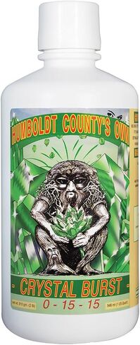 Emerald Triangle Crystal Burst Quart in Saudi Arabia