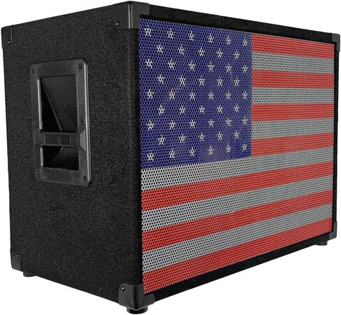 الصوت الزلزالي - SA -210_4OHM -USA - 2x10 باس غيتار 4 أوم خزانة مكبرات الصوت مع مصبغة الولايات المتحدة الأمريكية القابلة للتبديل in Saudi Arabia