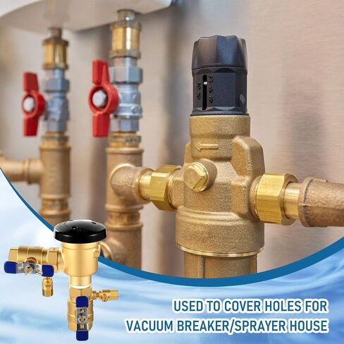 34-720A 3/4 "720A تجميع مكسور الضغط النحاسي لخطوط المياه مجموعة صمام الصمام 400 رطل/بوصة مربعة صمام الذروة للحفاظ على سلامة نظام السباكة (الأزرق) in Saudi Arabia