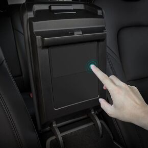 TAPTES For Tesla Model 3 Model Y Center Console Organizer, Armrest Hidden Storage Box for Tesla Model 3 Model Y Accessories