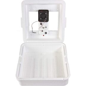 Little Giant® Digital Still Air Incubator | 41 Eggs | Egg Incubator with Temperature and Humidity Control | Chick Incubator in Saudi Arabia