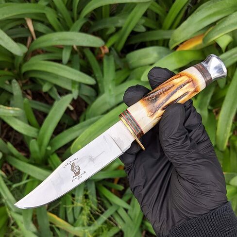 بيع زوج مقبض العظام جامع العظام BC815 in Kuwait