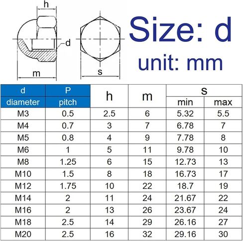 Plastic Nylon Acorn Cap Dome Nuts Hexagon Nut(White,M16 (5pcs)) in Saudi Arabia