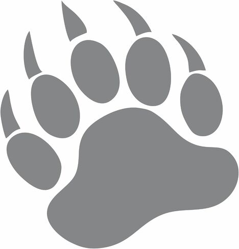 Grizzly Bear 5" Paw Print (Color Variations) Vinyl Decal Car Truck Window Wall Glass Laptop (5 Inches Tall, Dark Orange) in Saudi Arabia