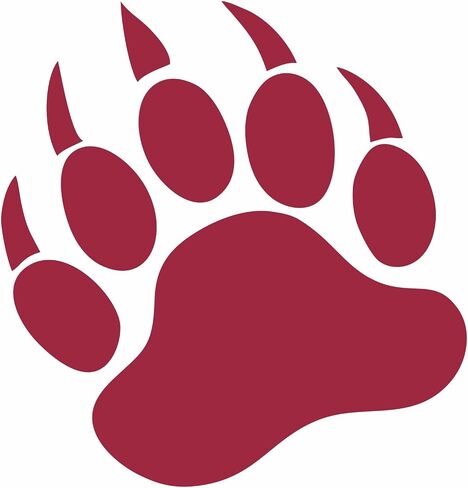 Grizzly Bear 5" Paw Print (Color Variations) Vinyl Decal Car Truck Window Wall Glass Laptop (5 Inches Tall, Dark Orange) in Saudi Arabia
