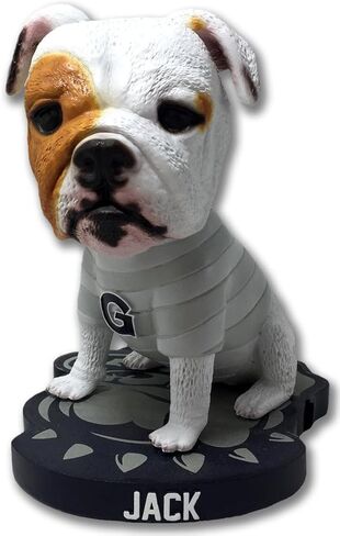 جاك The Bulldog Georgetown Hoyas Live Mascot Bobblehead NCAA College in Kuwait