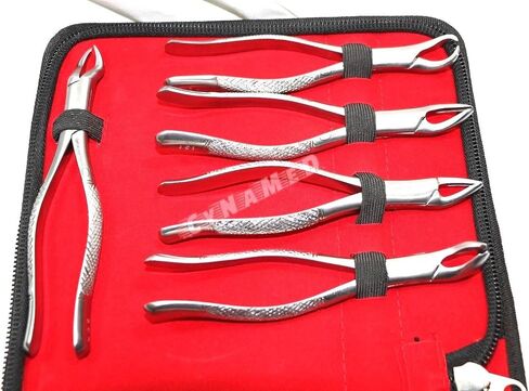 New German German المقاوم للصدأ 10 PCS استخراج الأسنان ملقط استخراج الأسنان تشمل NO150 151 23 217 MD1 MD MD3 MD4 88L 88R مع حقيبة سحاب in Saudi Arabia