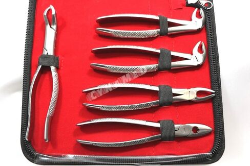 New German German المقاوم للصدأ 10 PCS استخراج الأسنان ملقط استخراج الأسنان تشمل NO150 151 23 217 MD1 MD MD3 MD4 88L 88R مع حقيبة سحاب in Saudi Arabia