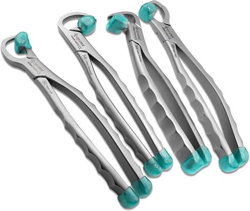 Dental Extraction Forceps Molar Atraumatic Tooth Extraction Kit Dental Instruments Standard Series Dentistry Handpiece Set of 4 Pieces with Free Bumpers in Saudi Arabia