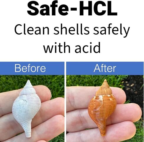 Seashell Cleaning Kit - Includes: (1) Quart of Safe-HCL Acid, (1) Gallon HDPE Storage Container, Safety Gear and Cleaning Utensils in Saudi Arabia