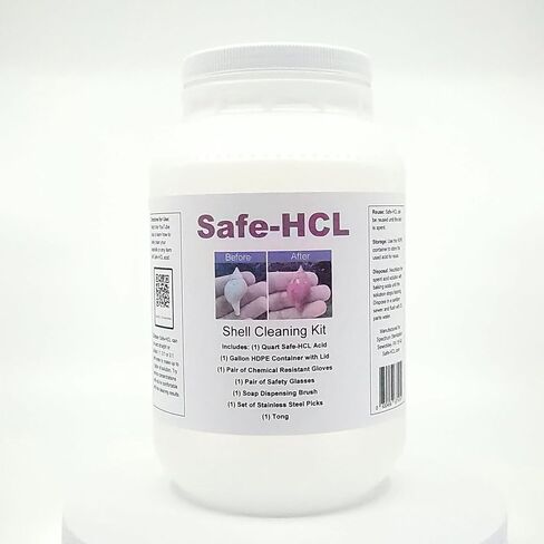 Seashell Cleaning Kit - Includes: (1) Quart of Safe-HCL Acid, (1) Gallon HDPE Storage Container, Safety Gear and Cleaning Utensils in Saudi Arabia