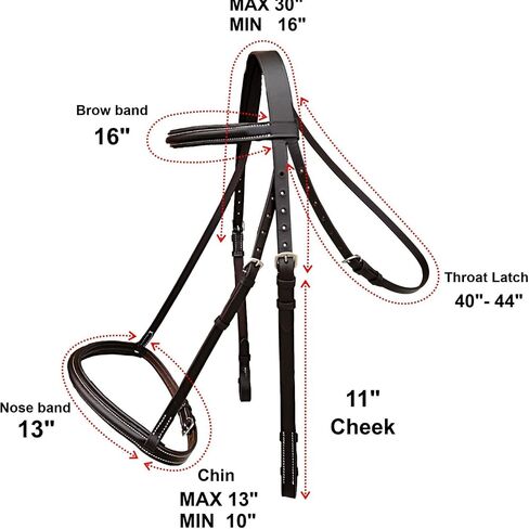 Majestic Ally Padded Raised English Bridle, Premium Leather, Matching Laced Reins in Saudi Arabia