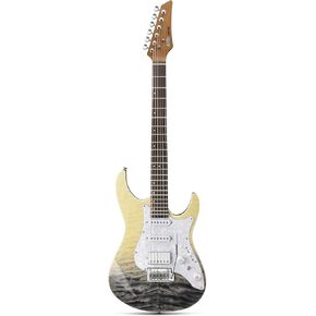 Donner 39 Inch Electric Guitar ، DST-550 Color Lradient Poplar Body ، Laurel Fretboard & Maple القشرة ، 7 خيارات لهجة ، جسر Tremolo ، للاعبين المتوسطين والمحترفين ، حقيبة المكافآت-Black Mirage. in Kuwait