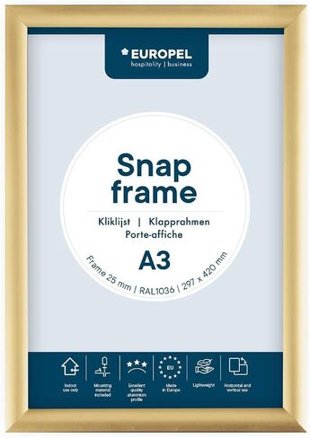 إطار SNAP خفيف الوزن A4 ، ملف تعريف 25 × 11 مم ، ذهبي ملون ، ألومنيوم مختلط ، واقي مضاد للانعكاس ، أبعاد خارجي 241 × 328 مم ، البوليسترين الرمادي الظهر in Saudi Arabia