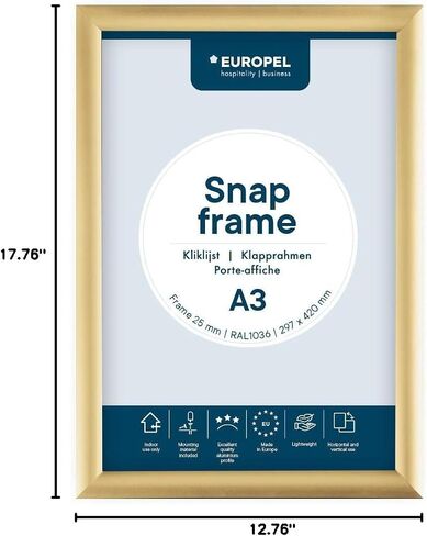 إطار SNAP خفيف الوزن A4 ، ملف تعريف 25 × 11 مم ، ذهبي ملون ، ألومنيوم مختلط ، واقي مضاد للانعكاس ، أبعاد خارجي 241 × 328 مم ، البوليسترين الرمادي الظهر in Saudi Arabia