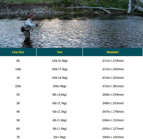 Rio Fly Fishing Tippet Freshwater Tippet 30yd 2X Fishing Tackle, Clear in Saudi Arabia