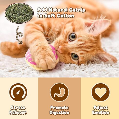 L1 -Rabe Mexican Concha Catnip Toys 5pcs Cafecito Conchas Pan Dulce Toys Interactive Cat Toys لعشاق القطط هدايا القطة الداخلية مضغ اللعنة تمرينات لعب اللوازم Catnip Catmint Pet Pet Hirdents Birthday in Kuwait