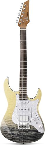Donner 39 Inch Electric Guitar, DST-550 Color Gradient Poplar Body, Laurel Fretboard & Maple Veneer, 7 Tone Options, Tremolo Bridge, for Intermediate & Pro Players, Bonus Bag – Black Mirage Gradation in Saudi Arabia