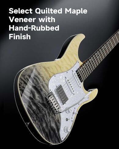 Donner 39 Inch Electric Guitar, DST-550 Color Gradient Poplar Body, Laurel Fretboard & Maple Veneer, 7 Tone Options, Tremolo Bridge, for Intermediate & Pro Players, Bonus Bag – Black Mirage Gradation in Saudi Arabia