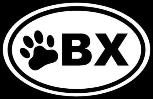 Ranger Products OBX Paw Sticker Outer Banks Dog Print Puppy NC Decal - Die Cut Vinyl Decal for Windows, Cars, Trucks, Tool Boxes, laptops, MacBook - virtually Any Hard, Smooth Surface in Saudi Arabia