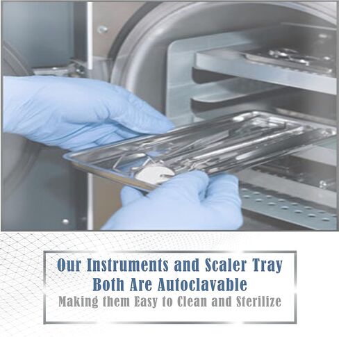 Professional Dental Periosteal Elevator, Stainless Steel with Blue Titanium Coated Tips (Busar) in Saudi Arabia