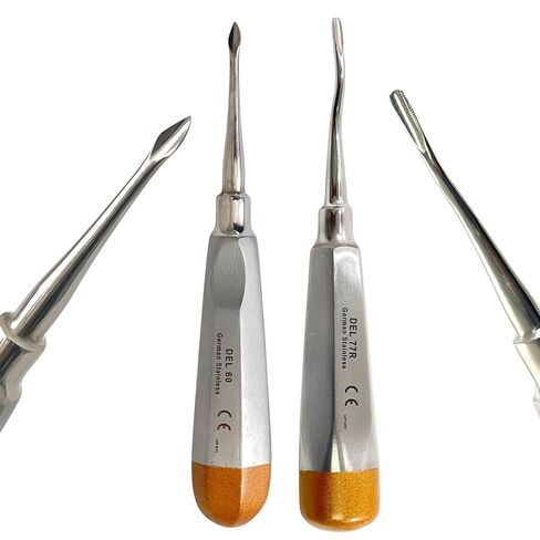 مجموعة من 2PCS Bernard Dental Tooth Root Elevator Pick ، ​​#60 ، Tip Catcave Spade Tip & #77r Terms Serves in Saudi Arabia
