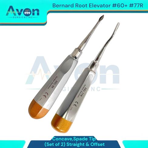مجموعة من 2PCS Bernard Dental Tooth Root Elevator Pick ، ​​#60 ، Tip Catcave Spade Tip & #77r Terms Serves in Saudi Arabia