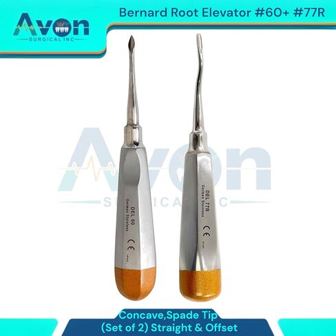 مجموعة من 2PCS Bernard Dental Tooth Root Elevator Pick ، ​​#60 ، Tip Catcave Spade Tip & #77r Terms Serves in Saudi Arabia