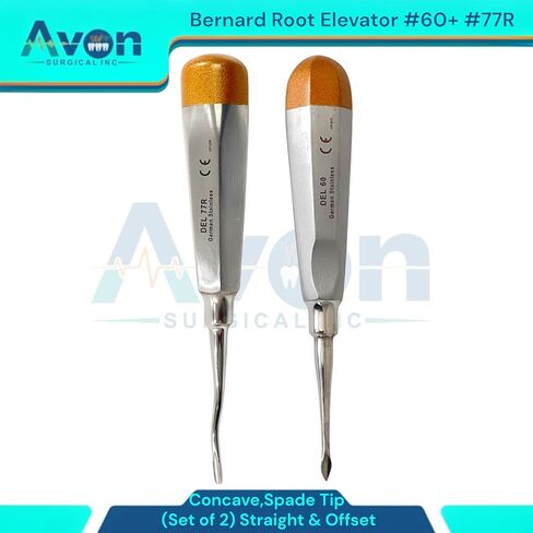 مجموعة من 2PCS Bernard Dental Tooth Root Elevator Pick ، ​​#60 ، Tip Catcave Spade Tip & #77r Terms Serves in Saudi Arabia