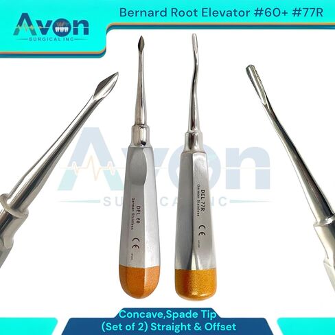 مجموعة من 2PCS Bernard Dental Tooth Root Elevator Pick ، ​​#60 ، Tip Catcave Spade Tip & #77r Terms Serves in Saudi Arabia