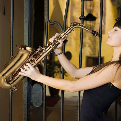 الساكسفون ، EB Alto Saxophone النحاس المرن Alto Sax Wind أداة Sax alto saxophone مع قفازات الحمل الأشرطة لسان ساكسفون لطلاب المبتدئين (02) in Kuwait
