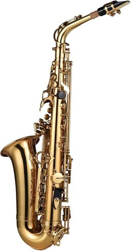 Saxophone, Eb Alto Saxophone Brass Lacquered Alto Sax Wind Instrument Sax Alto Saxophone with Carry Case Gloves Straps Saxophone Mouthpiece for Beginner Students (02) in Saudi Arabia