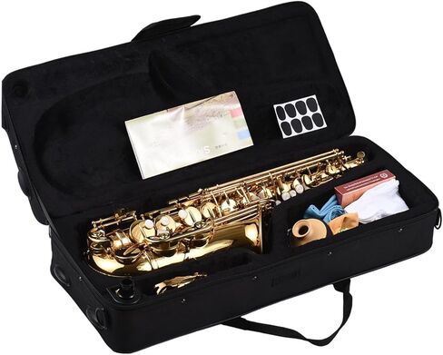 Saxophone, Eb Alto Saxophone Brass Lacquered Alto Sax Wind Instrument Sax Alto Saxophone with Carry Case Gloves Straps Saxophone Mouthpiece for Beginner Students (02) in Saudi Arabia