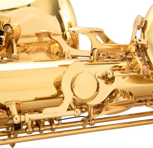 Singer's day SDBS-2001 Low A Baritone Saxophone Low A to High F# Lacquered Brass with Hand Engraved Bell in Saudi Arabia