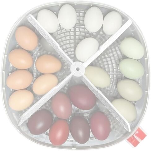 Plashncolor Hatch Distider لتنشئة اليمين 360 حاضنة بيض - مقسم حاضنة البيض مع تصميم شبكة - سهولة تثبيت بيض الفقس - متوافق مع الدجاج ، السمان ، أوزة ، بيض البط - الأسود in Saudi Arabia