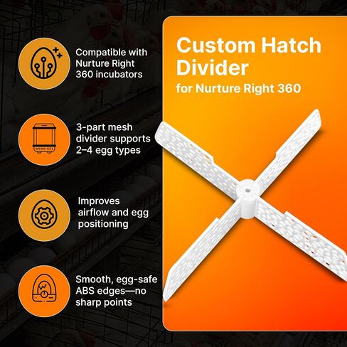 Plashncolor Hatch Distider لتنشئة اليمين 360 حاضنة بيض - مقسم حاضنة البيض مع تصميم شبكة - سهولة تثبيت بيض الفقس - متوافق مع الدجاج ، السمان ، أوزة ، بيض البط - الأسود in Saudi Arabia