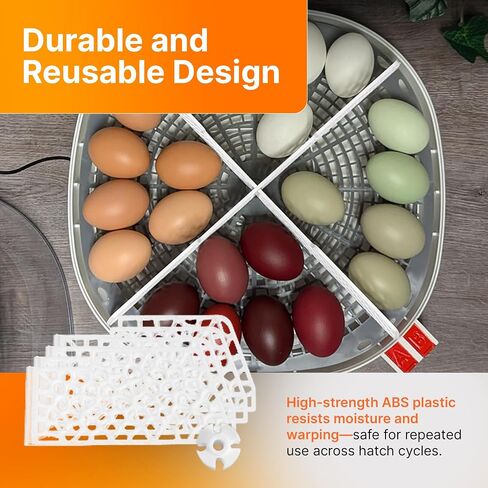 Plashncolor Hatch Distider لتنشئة اليمين 360 حاضنة بيض - مقسم حاضنة البيض مع تصميم شبكة - سهولة تثبيت بيض الفقس - متوافق مع الدجاج ، السمان ، أوزة ، بيض البط - الأسود in Saudi Arabia