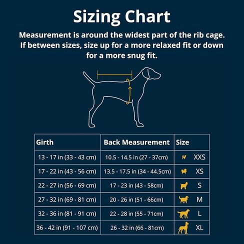 Ruffwear، سترة شتوية Vert Dog، معطف مقاوم للماء ومعزول للطقس البارد، Aurora Teal، صغير in Kuwait