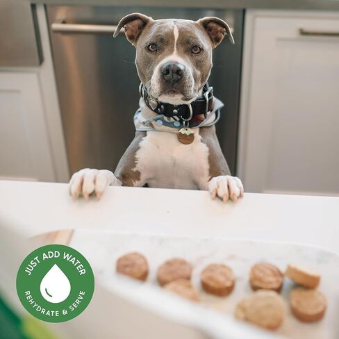 Smallbatch Pets Freeze-Dried Premium Raw Food Diet for Dogs, Duck Recipe, 14 oz, Made in The USA, Organic Produce, Humanely Raised Meat, Hydrate and Serve Patties, Single Source Protein, Healthy in Saudi Arabia