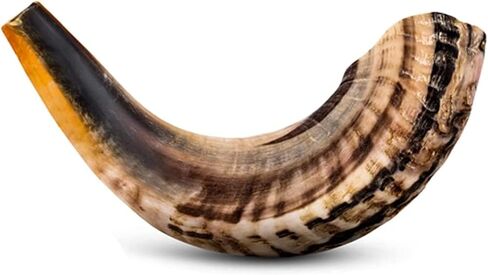 Shofar Horn Instrument – RAM Shofar Angels Musical Instrument (Single, 12-14) in Saudi Arabia