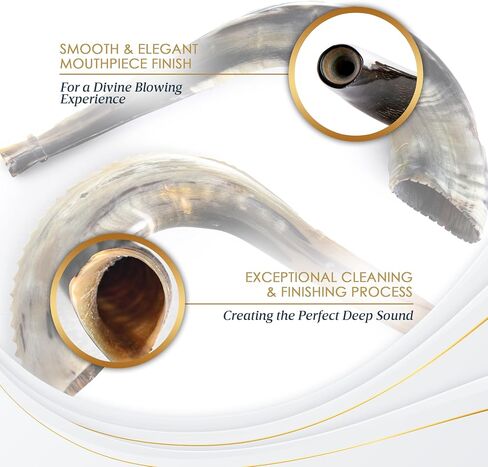 Shofar Horn Instrument – RAM Shofar Angels Musical Instrument (Single, 12-14) in Saudi Arabia
