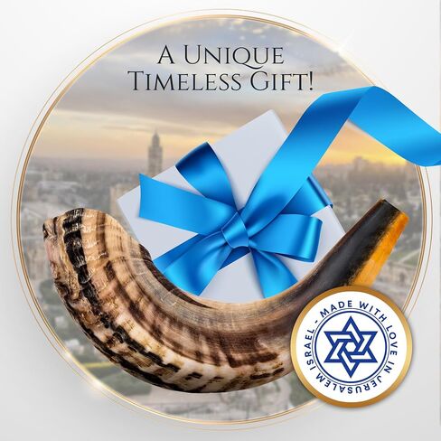 Shofar Horn Instrument – RAM Shofar Angels Musical Instrument (Single, 12-14) in Saudi Arabia