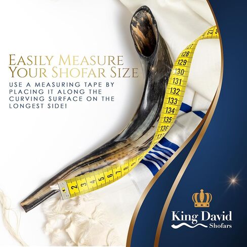 Shofar Horn Instrument – RAM Shofar Angels Musical Instrument (Single, 12-14) in Saudi Arabia