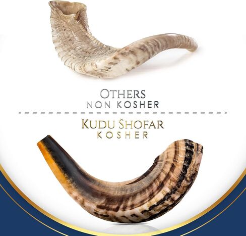 Shofar Horn Instrument – RAM Shofar Angels Musical Instrument (Single, 12-14) in Saudi Arabia