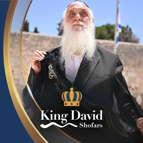 Shofar Horn Instrument – RAM Shofar Angels Musical Instrument (Single, 12-14) in Saudi Arabia